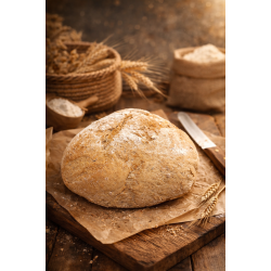 bucheron levain bucheron levain